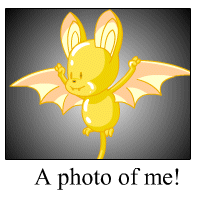 korbat Photo